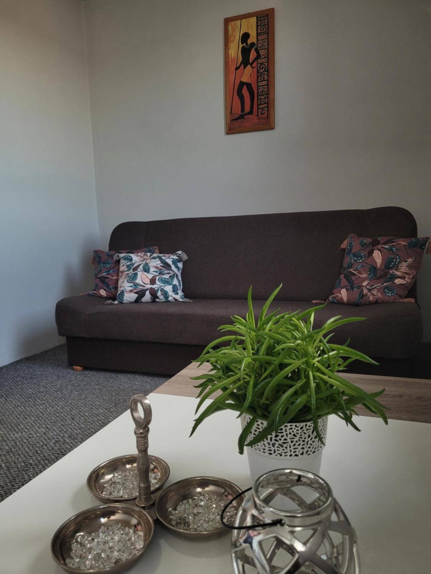 Apartament Zdunska Wloclawek Luaran gambar